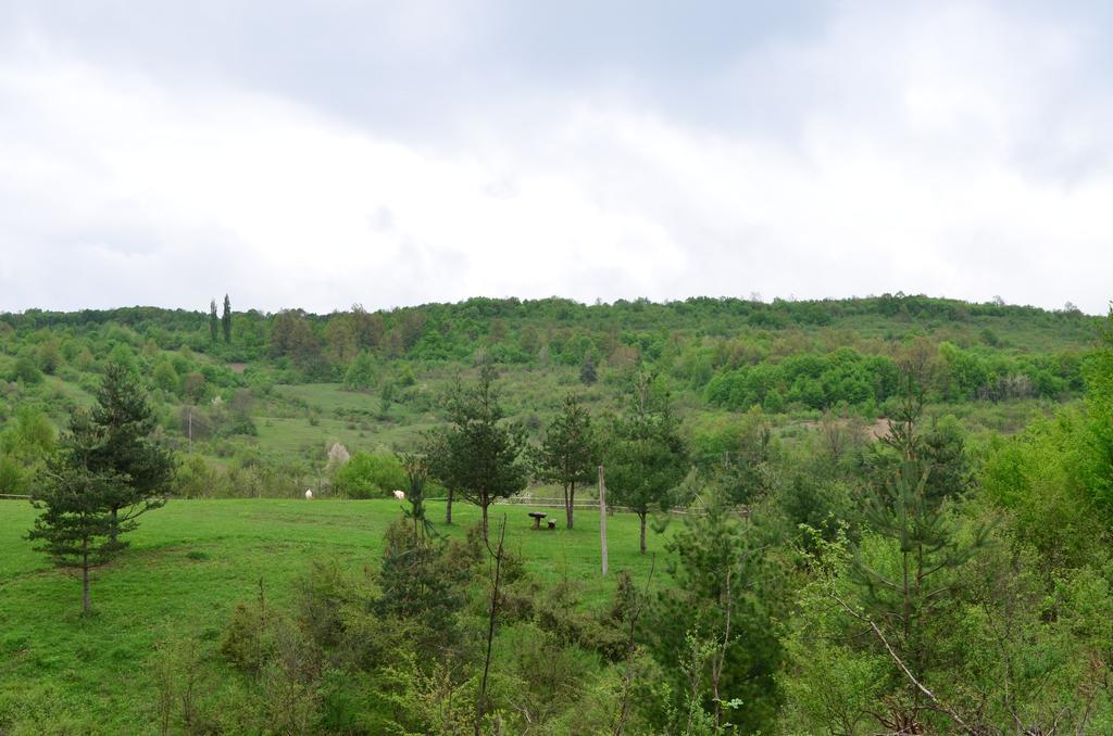 Apartments Fairy Land Rakovica Buitenkant foto
