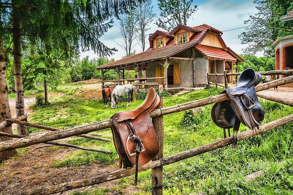 Apartments Fairy Land Rakovica Buitenkant foto
