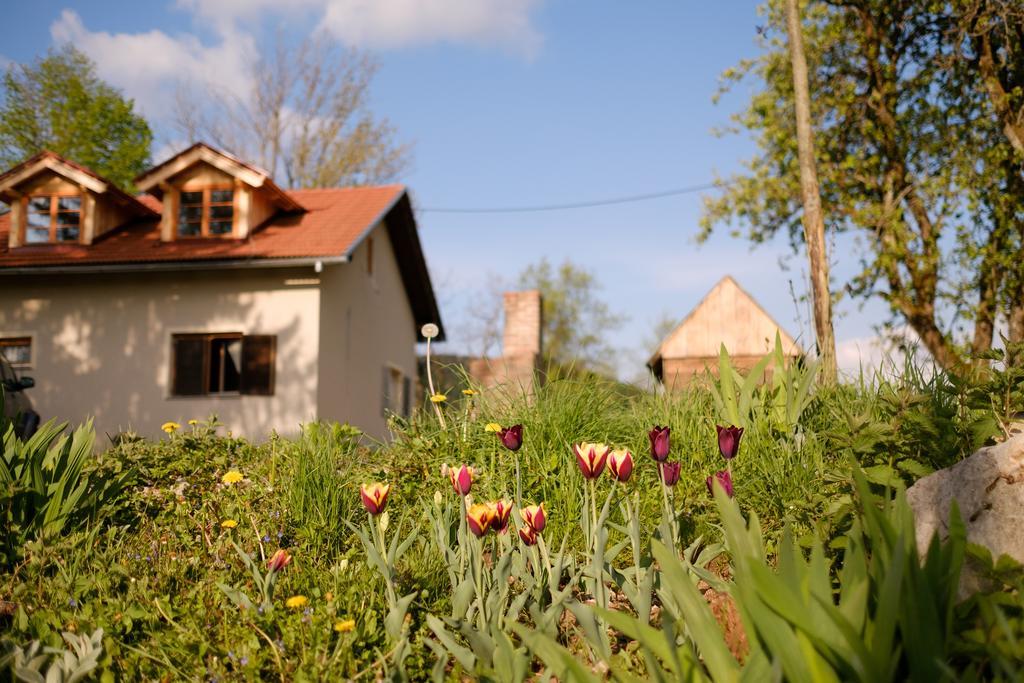 Apartments Fairy Land Rakovica Buitenkant foto